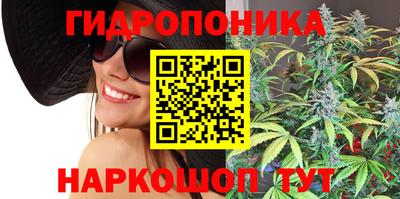 стаф Моздок
