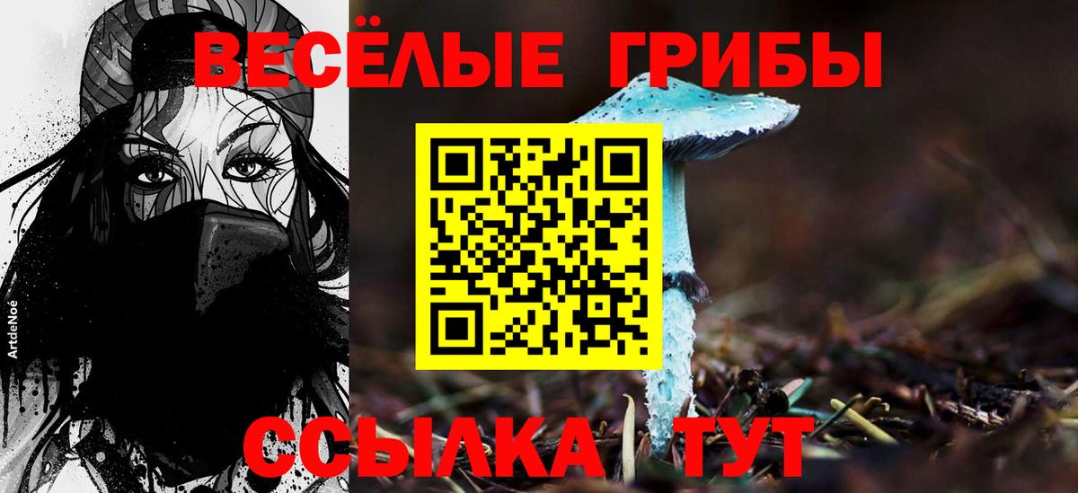 Азов  Галлюциногенные грибы Psilocybe  Вход с VPN  Псилоцибиновые грибы Psilocybine cubensis 