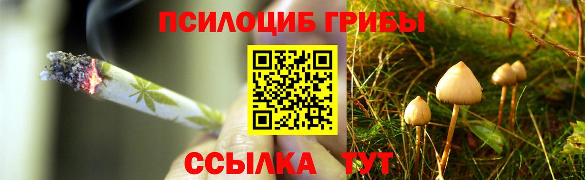 Галлюциногенные грибы мухоморы Азов